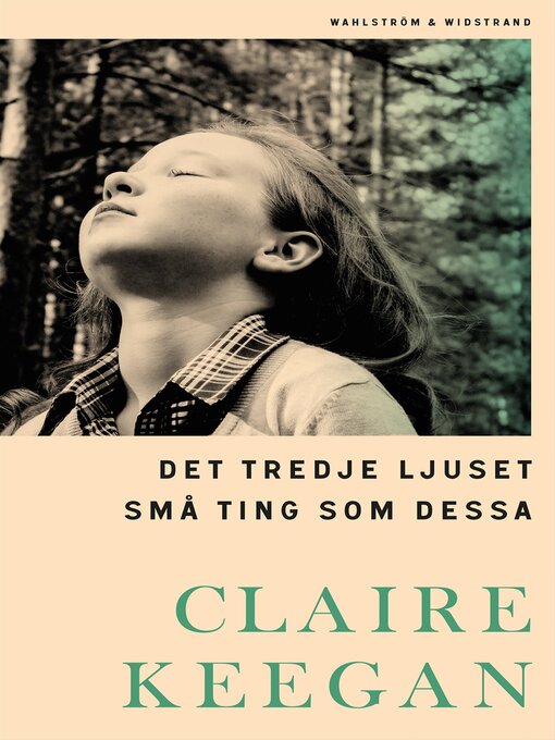 Titeldetaljer för Det tredje ljuset ; Små ting som dessa av Sara R. Acedo - Tillgänglig